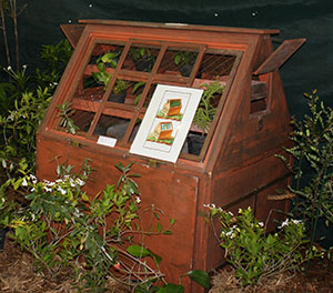 Reconstitution d’une caisse de transport de végétaux au 18ème siècle, lors des « Floralies 2012 » de Nouvelle-Calédonie (NB : fleurs blanches devant la caisse = Oxera neriifolia subsp. neriifolia, conifère dans la caisse = pin colonnaire ou Araucaria columnaris)